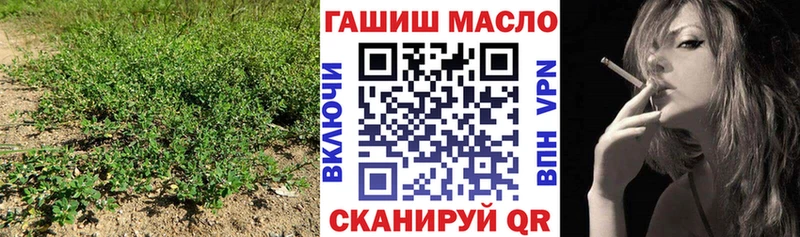 купить  сайты  Кадников  кракен маркетплейс  Дистиллят ТГК вейп с тгк 