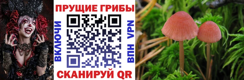 купить   ОМГ ОМГ рабочий сайт  Галлюциногенные грибы мицелий  Кадников 